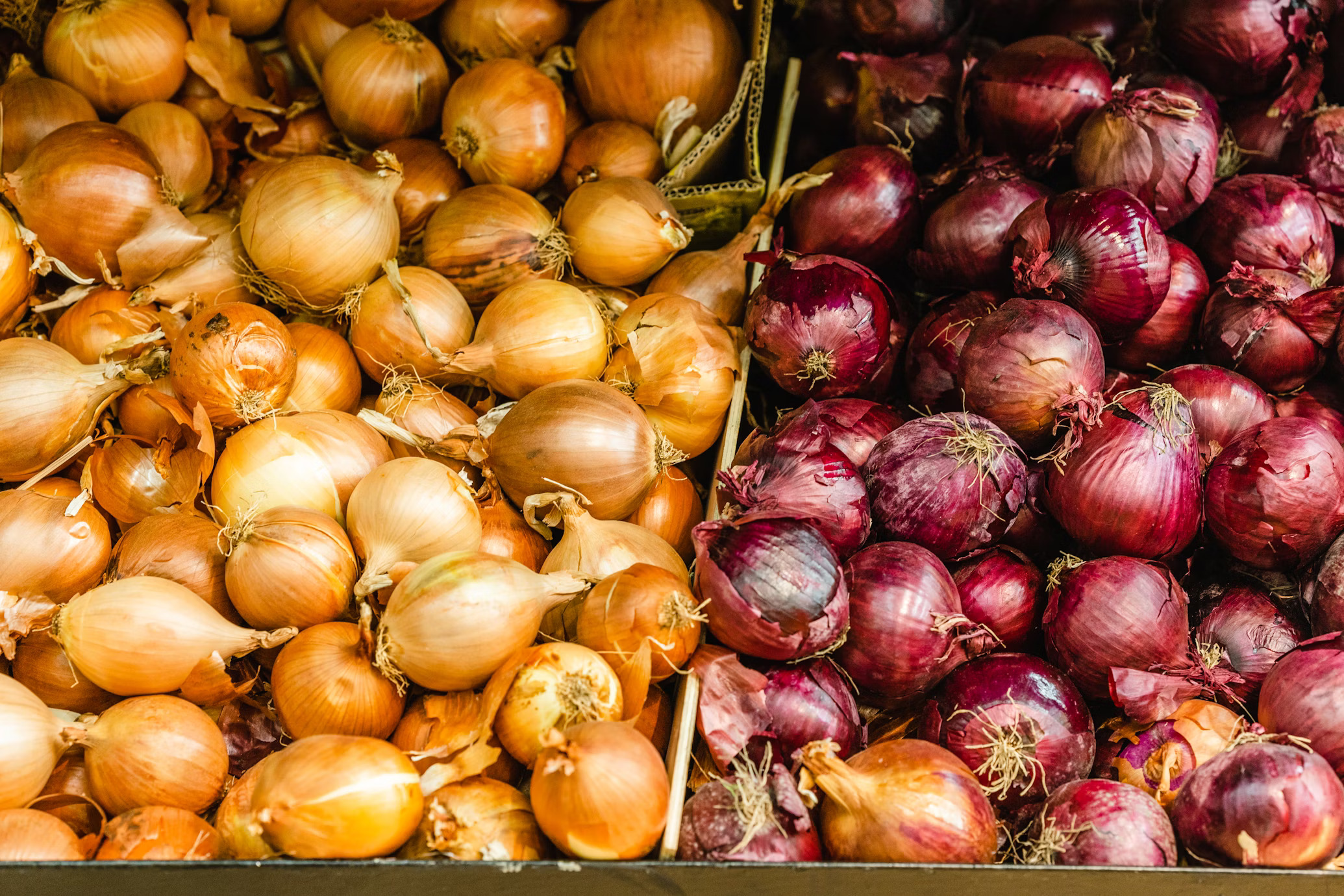 Organic Vegetables
